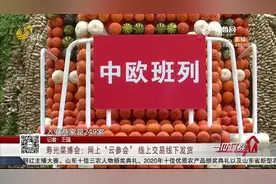 “云”游寿光蔬菜博览会会，线上交易线下发货，超多亮点全在这里视频封面