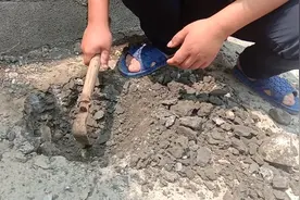 这么宽的资源不用浪费了，打算种颗树，老人说门前不能种栆树？