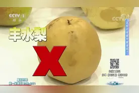 生活圈：市场上梨的种类繁多，哪种更适合用来止咳？专家做出讲解视频封面