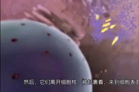 医学3D动画：喷嚏中的病毒是如何入侵你的身体的？视频封面