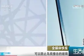 特制玻璃可有效防止鸟类撞击，咋做到的？听小圈解答|生活圈0302视频封面