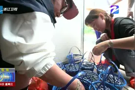 舌尖上的夏天：五月水果又上新，永嘉蓝莓引客来视频封面