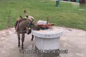 你是来搞笑的吧，连这场面都控不住视频封面