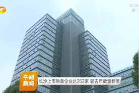 文和友、香他她入选！长沙上市后备企业达263家，较去年数量翻倍视频封面