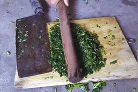 田耕地上：农村常见的传统消肿办法，用红薯叶和马齿菜捣烂敷脚
