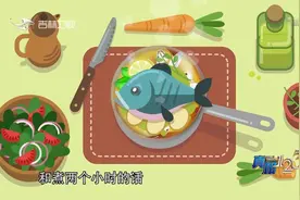 真相123：鱼汤越白是不是就越有营养？实验测试揭开真相，来看看