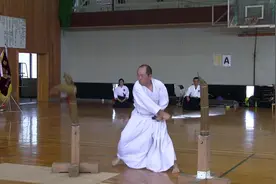 姿势挺帅，连草席都砍不断，日本剑道怎么跟中国的刀法比？视频封面