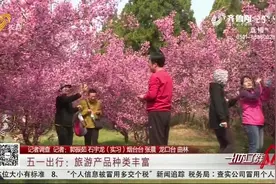 五一小长假准备好了吗？旅行社推出大福利，带你玩转山东最美景区视频封面