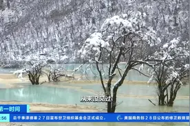 四川阿坝 五月降雪 黄龙景区玉树琼花 宛如人间仙境视频封面