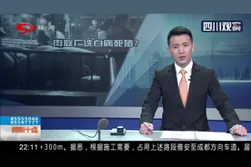 病死猪肉在正规肉联厂“洗白″ 每日流入市场上千斤视频封面