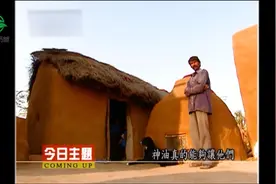 油管讲解印度神油的真正功效视频封面