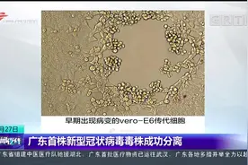 广东首株新型冠状病毒毒株成功分离视频封面