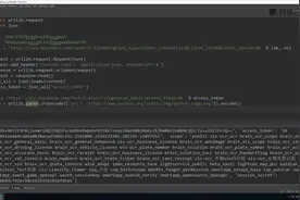 课时61【视频讲解】5.7 python进行API - 调用 API