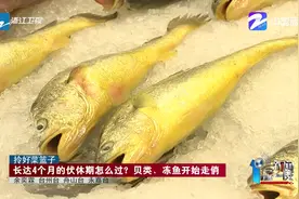 拎好菜篮子：5月8日全面禁售带鱼等八种水产品视频封面