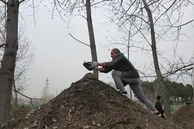 清明节扫墓，看看江苏农村实拍祭祖过程，你知道祭祖的正确方式吗视频封面