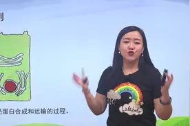 物质出入细胞的方式-胞吐-高中生物重要知识点-翟思茗