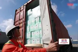 日本帮宝适一个仓库库区，一级帮宝适纸尿裤，装大卡车要运到中国视频封面