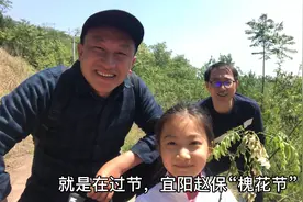 宜阳赵保寺河一景：四月槐花开，宾朋蜂农齐赶来视频封面