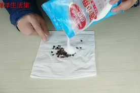 花椒里掺点小苏打，厉害又实用，解决很多人的大烦恼，早知早好
