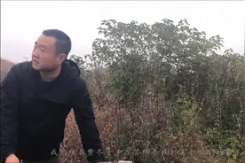 中华大地悠久历史中第一个盛世的缔造者