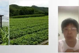 农药稀释倍数怎么算！农药稀释倍数是PPM的，怎么换算成实际用量