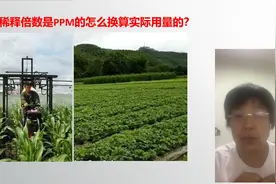农药稀释倍数怎么算！农药稀释倍数是PPM的，怎么换算成实际用量视频封面