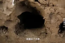 贵州牛洞坡遗址为何掩埋了老虎的骨骼？视频封面
