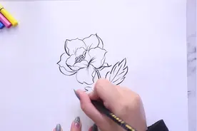 铅笔画牡丹的画法视频封面