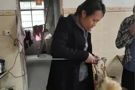 农村大嫂买鸡用杆秤，重量多少能看懂，你们还会用这种杆秤吗？