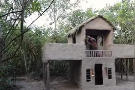 两兄弟野外齐心修建房子，一天就建好了，这进度我服了！视频封面