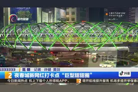 夜春城新网红打卡点“巨型甜甜圈”
