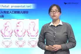 临床妇产科学：胎姿势、胎产式、胎先露、胎方位视频封面
