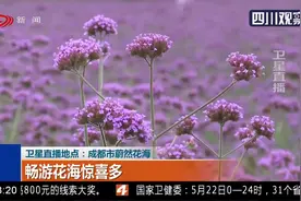 重庆的朋友 四川这些景区对你们免费开放 免费互游景区名单请收藏视频封面