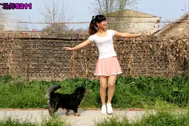 晚上好，送您一支好看的舞蹈，伴你好梦视频封面