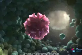 敬请观看：新冠肺炎导致细胞炎症因子风暴！免疫系统可能会杀死你视频封面