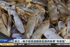 浙江除夕夜高速服务区提供免费“年夜饭”，过路司机来看看都有啥视频封面