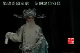 大平调【何西良】《徐策跑城》湛湛青天不可欺视频封面