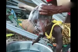 非洲小孩洗头是一件很痛苦的事情，怎么看都感觉很痛啊