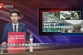 下雪了！这些地方银装素裹秒回冬天视频封面