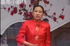 胡中花唱坠子，真的是太好听了