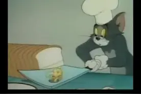 事实证明猫是干不过鹅的