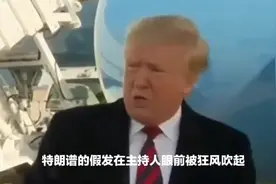 特朗普的假发风靡全球视频封面