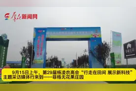 菲格无花果庄园：13个名优新特品种，20余万株无花果种苗图片