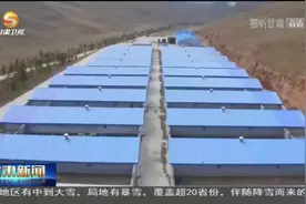 肃南裕固族牧民喜接羊羔迎新春图片