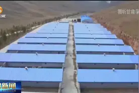 肃南裕固族牧民喜接羊羔迎新春图片
