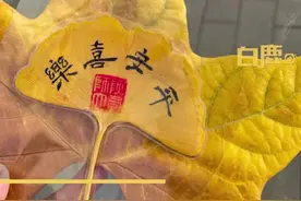 秋意遇上诗意！陕师大老教授手写银杏叶书签送学生图片