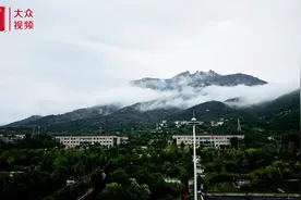 视频｜雨后泰山云雾缭绕似仙境图片