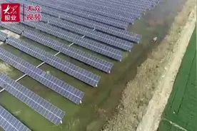 视频｜“光伏蓝”赋能“生态绿”，淄博推进光伏规模化开发图片