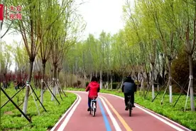 视频︱人间芳菲四月天 公园风景美如画图片