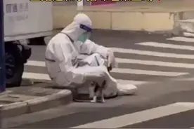 劳累的大白工作之余，坐路边和小猫咪温柔互动图片